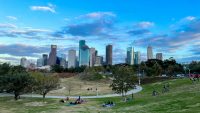 Skyline of modern buildings behind park