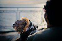 Dog held by a person on ferry deck