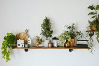 Shelf with plants and decoration