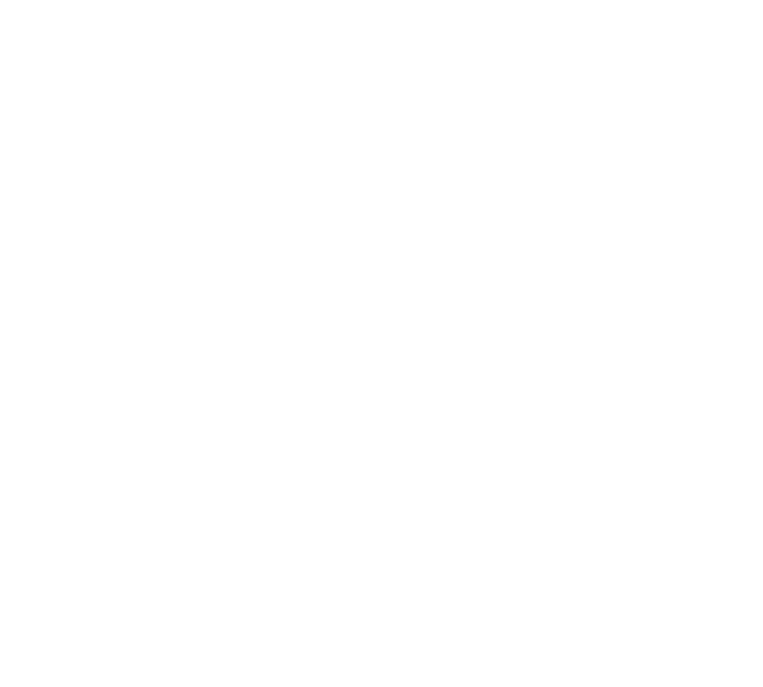 FIDI Logo