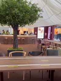 The communal table and olive tree in front of the bar